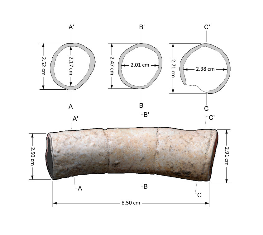 BoneTube1 BoneTube1